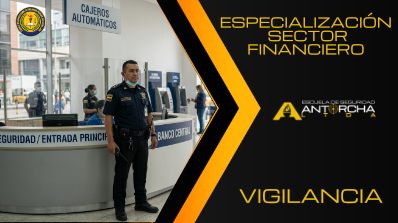 ESPECIALIZACIÓN VIGILANCIA SECTOR FINANCIERO